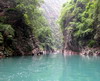 Shenlong Stream