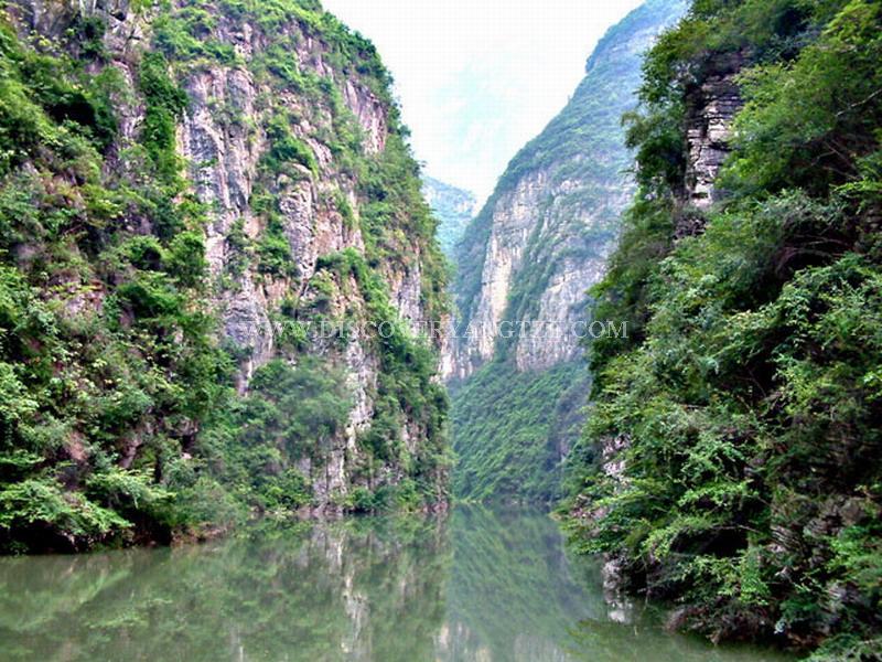 Shenlong Stream
